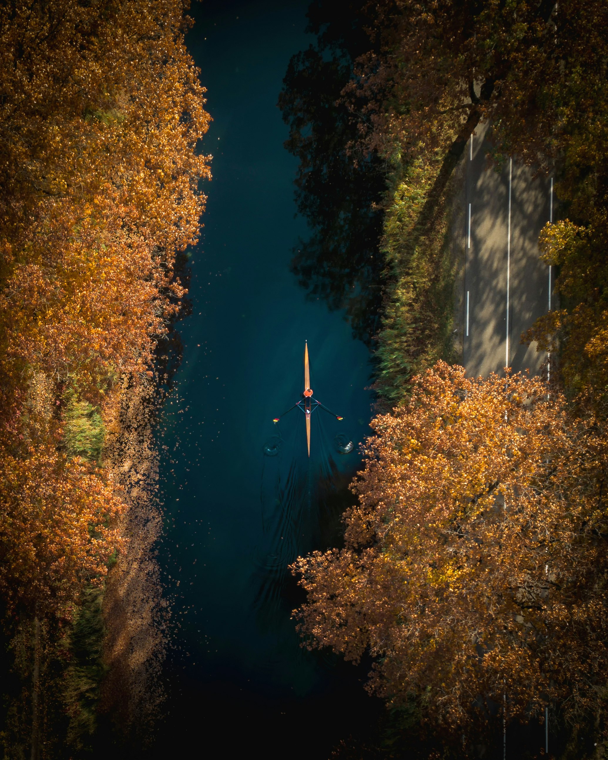 canoe in blue water and golden tree leaves